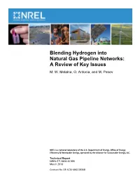 Blending Hydrogen Into Natural Gas Pipeline Networks: a Review of Key Issues
