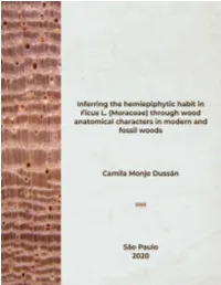 Camila Dussan SIMPL.Pdf