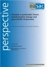Towards a Sustainable Future: Transformative Change and Post-COVID-19 Priorities