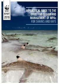 A Practical Guide to Effective Design and Management of Mpas For