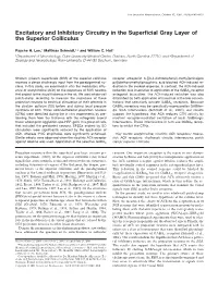 Excitatory and Inhibitory Circuitry in the Superficial Gray Layer of The