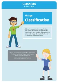 Classification