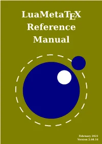 Luametatex Reference Manual