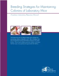 Breeding Strategies for Maintaining Colonies of Laboratory Mice a Jackson Laboratory Resource Manual