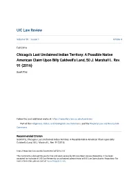 Chicagoâ•Žs Last Unclaimed Indian Territory: a Possible Native