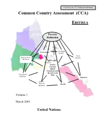 Common Country Assessment (CCA)