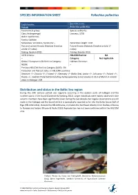HELCOM Red List