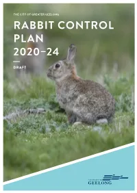 Rabbit Control Plan 2020–24