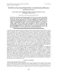 The Effect of Increasing Plasmid Size on Transformation Efficiency in Escherichia Coli
