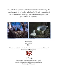 The Effectiveness of Conservation
