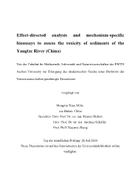 Effect-Directed Analysis and Mechanism-Specific Bioassays to Assess the Toxicity of Sediments of the Yangtze River (China)