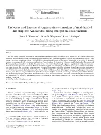 Phylogeny and Bayesian Divergence Time Estimations of Small-Headed Xies (Diptera: Acroceridae) Using Multiple Molecular Markers