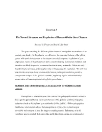 The Normal Structure and Regulation of Human Globin Gene Clusters
