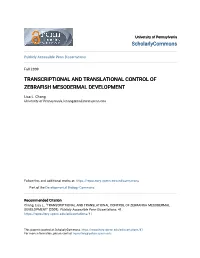 Transcriptional and Translational Control of Zebrafish Mesodermal Development