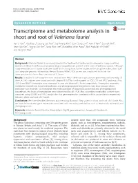 Transcriptome and Metabolome Analysis in Shoot and Root Of