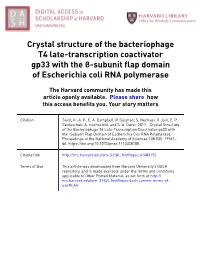 Crystal Structure of the Bacteriophage T4 Late-Transcription Coactivator Gp33 with the Β-Subunit Flap Domain of Escherichia Coli RNA Polymerase