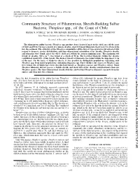 Community Structure of Filamentous, Sheath-Building Sulfur Bacteria, Thioploca Spp., Off the Coast of Chile