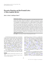 Executive Function and the Frontal Lobes: a Meta-Analytic Review
