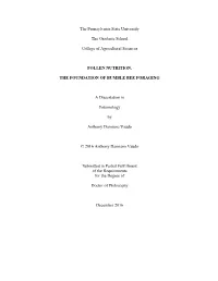 Open ADV Disseration for Submission.Pdf