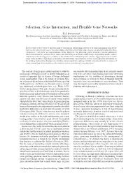 Selection, Gene Interaction, and Flexible Gene Networks