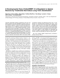 (Tolloid/BMP-1) Is Regulated in Aplysia Neurons by Treatments That Induce Long-Term Sensitization