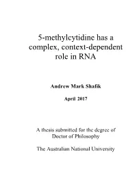 5-Methylcytidine Has a Complex, Context-Dependent Role in RNA