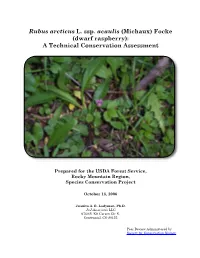 Rubus Arcticus Ssp. Acaulis Is Also Appreciated
