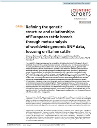 Refining the Genetic Structure and Relationships of European
