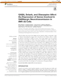 GABA, Selank, and Olanzapine Affect the Expression of Genes Involved in Gabaergic Neurotransmission in IMR-32 Cells
