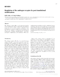 REVIEW Regulation of the Androgen Receptor by Post-Translational Modifications