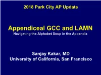 Appendiceal GCC and LAMN Navigating the Alphabet Soup in the Appendix