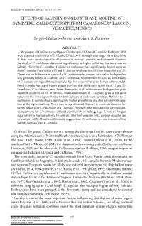 Callinectes Spp