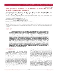 LRP6 Promotes Invasion and Metastasis of Colorectal Cancer Through Cytoskeleton Dynamics
