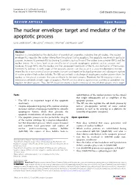 The Nuclear Envelope: Target and Mediator of the Apoptotic Process Liora Lindenboim1, Hila Zohar1,Howardj.Worman2 and Reuven Stein1