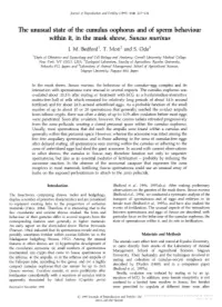 The Unusual State of the Cumulus Oophorus and of Behaviour