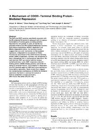 A Mechanism of COOH–Terminal Binding Protein– Mediated Repression