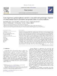 Gene Expression Polymorphisms and Ests Associated with Gravitropic Response of Subterranean Branch Meristems and Growth Habit in Leymus Wildryes