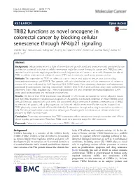 TRIB2 Functions As Novel Oncogene in Colorectal Cancer by Blocking