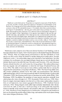 Abundance and Distribution of Mushroom Corals