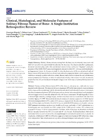 Clinical, Histological, and Molecular Features of Solitary Fibrous Tumor of Bone: a Single Institution Retrospective Review