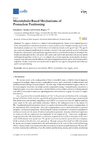 Microtubule-Based Mechanisms of Pronuclear Positioning