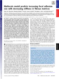 Multiscale Model Predicts Increasing Focal Adhesion Size with Decreasing