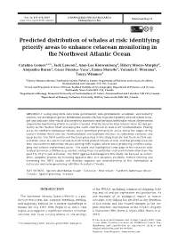 Predicted Distribution of Whales at Risk: Identifying Priority Areas to Enhance Cetacean Monitoring in the Northwest Atlantic Ocean