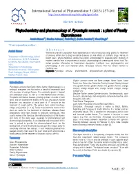 Print This Article