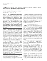 Caspase-Dependent Activation of Cyclin-Dependent Kinases During Fas-Induced Apoptosis in Jurkat Cells