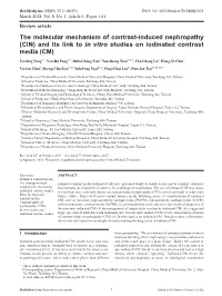 CIN) and Its Link to in Vitro Studies on Iodinated Contrast Media (CM