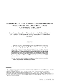 MORPHOLOGICAL and MOLECULAR CHARACTERIZATION of Pisolithus in SOIL UNDER