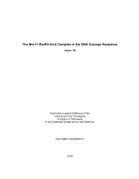 The Mre11-Rad50-Xrs2 Complex in the DNA Damage Response