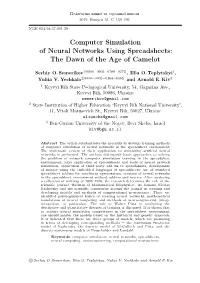 Computer Simulation of Neural Networks Using Spreadsheets: the Dawn of the Age of Camelot