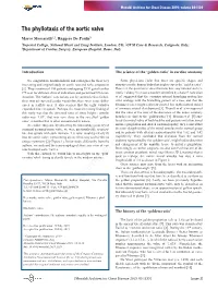 The Phyllotaxis of the Aortic Valve